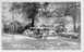 redwood_camp_mt_hermon_CA.jpg
