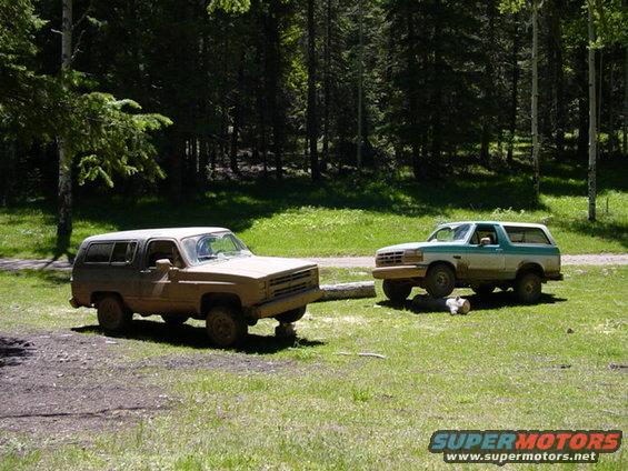 Two dirty SUVs, one tan and one teal and white, parked on grass with trees behind them