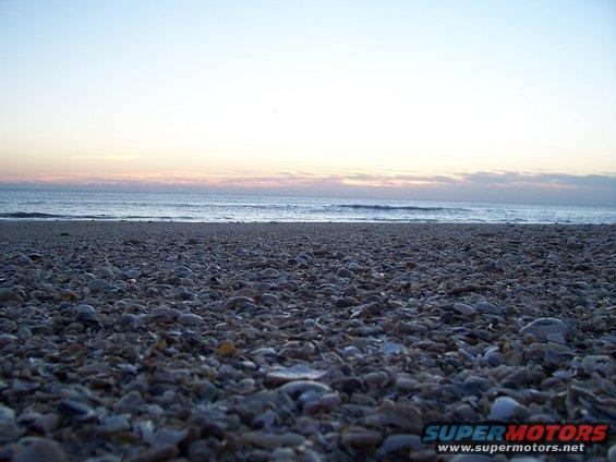 101_2525.jpg 