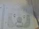 1980 Ford Bronco - A sketch of a clown's face is shown on lined paper, complete with a hat and makeup, alongside a Supermotors watermark.
