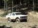 1979 Ford Bronco