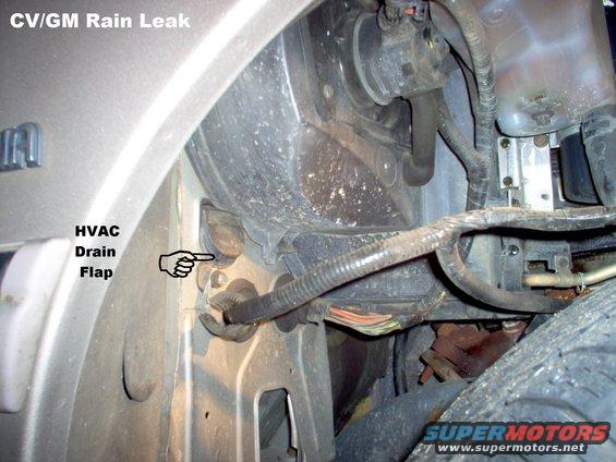 leak.jpg This is a common problem for all '92-98 Panthers.  Water draining from the A/C system runs out under the rubber flap & then back inside the firewall under the passenger front carpet & collects in the R rear footwell.