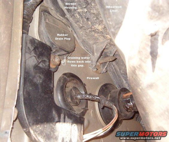 leak02.jpg To fix the leak, remove the RF wheel & peel the wheelwell liner forward.  Clean & dry the area under the drain.