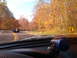 1994 Ford Probe - A group of cars drive down a road lined with colorful autumn trees.