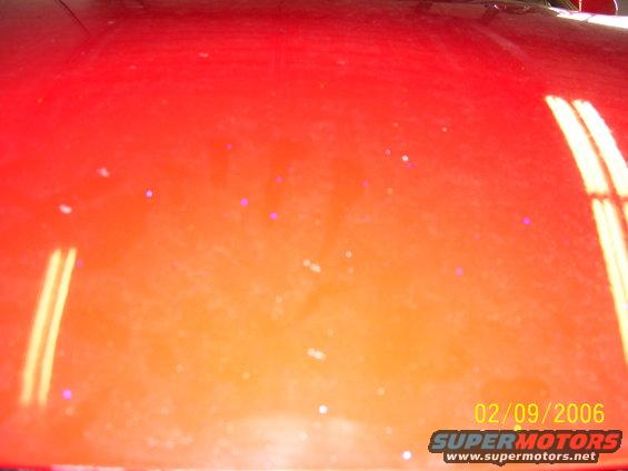 Red car hood with reflections and dust specks