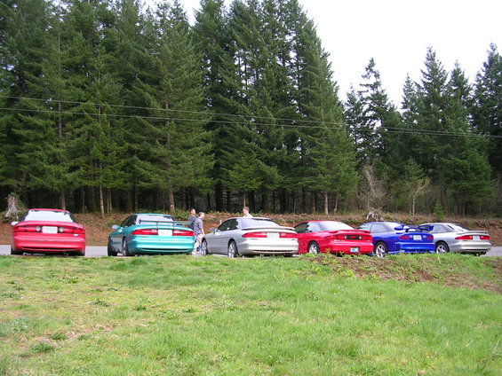 Several 1996 Ford Probes parked in a row, viewed from the rear, with a forest in the background