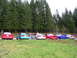 1996 Ford Probe - A group of 1996 Ford Probes are lined up on the side of the road next to a dense forest.