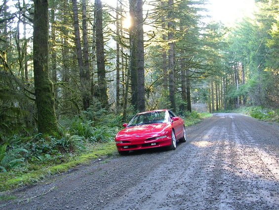 dscn2247.jpg 