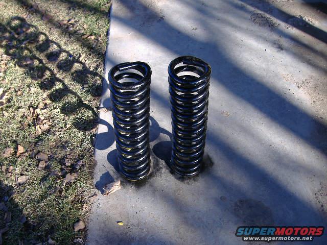 Two black coil springs sit on a concrete surface next to grass