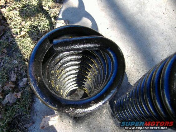 Black coil spring with yellow and blue accents
