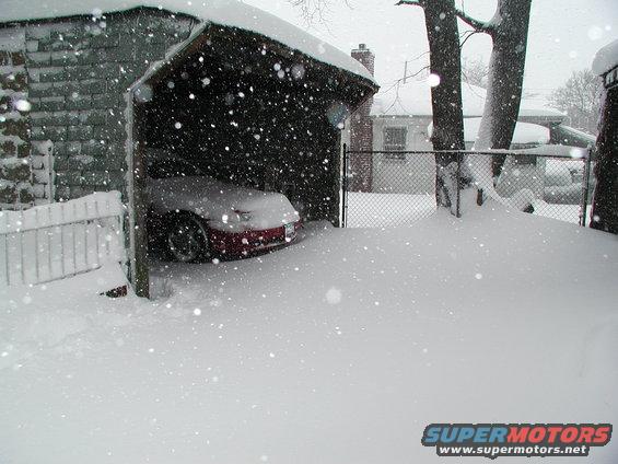 p2121048.jpg That's gonna be there for a while.