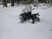 1994 Yamaha KODIAK 400 - digging with all four