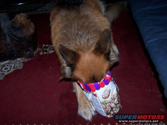 100_1050.jpg 