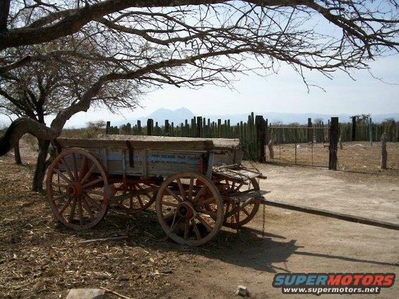 Don Arcadio's property