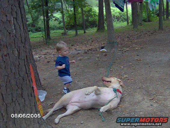 Dog lying on its back with a child standing nearby, outdoors
