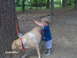 1996 Ford Mustang - A young child plays with a dog in an outdoor setting, captured on August 6, 2005.