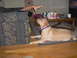 1996 Ford Mustang - A dog looks up at a hand reaching from behind a couch, with a coffee table in the background.