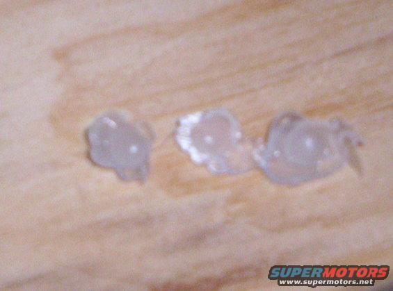 picture-769.jpg 