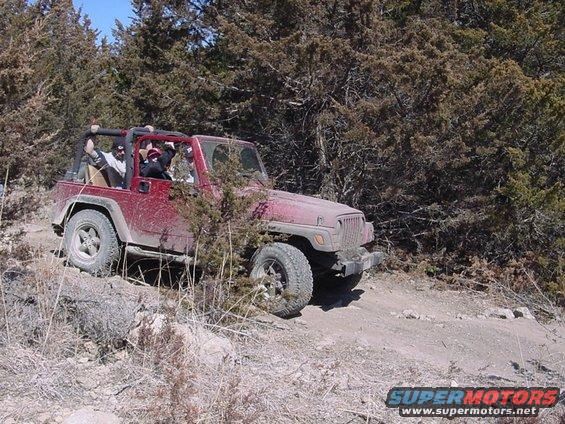 Red Jeep Wrangler driving on a dirt trail through trees. People are in the seats