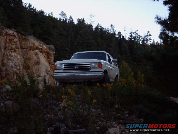 White Ford Bronco parked on a dirt road next to a rocky cliff, surrounded by trees and yellow wildflowers