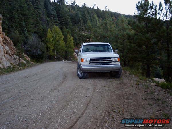 White 1991 Ford Bronco on a dirt road with pine trees