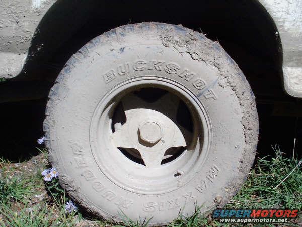 Mud-covered tire with 'BUCKSHOT MUD' text visible
