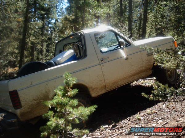 White pickup truck on a dirt path in a forest, with trees obscuring the view