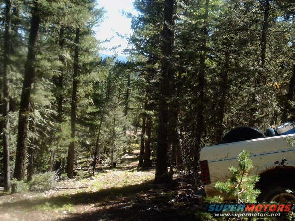 camping-trip-sept.-2005-(7).jpg 