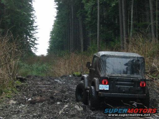 Black Jeep Wrangler with soft top on a muddy, rutted forest road. License plate reads 428-DMA