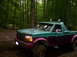 1995 Ford F-150 photo