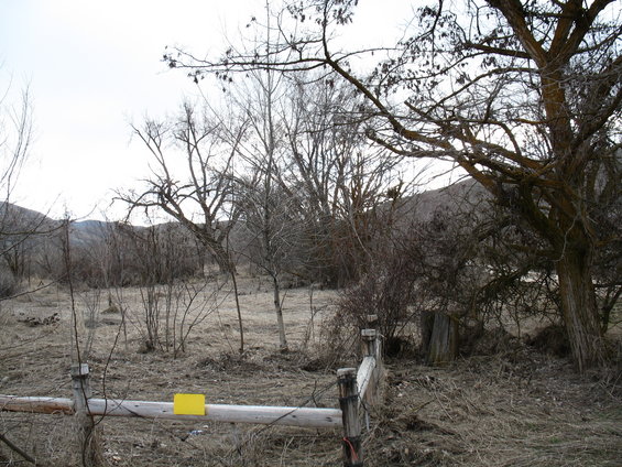 believe it or not, there used to be a house here that I lived in. Trees in the back is where my brothers had cables strung and used to swing from tree to tree.