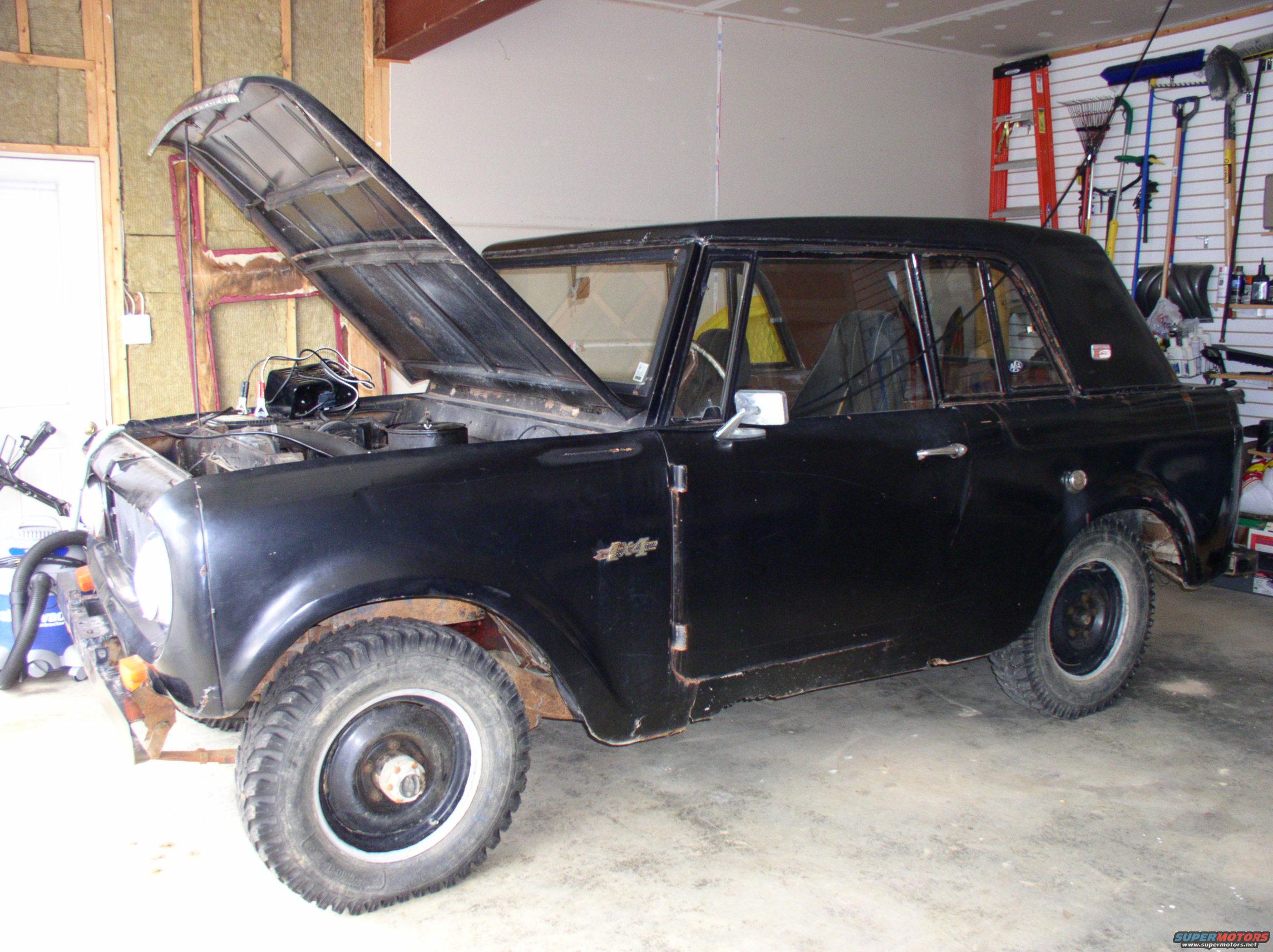International Scout