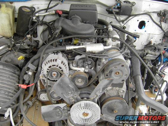 Engine bay with V-belt system, alternator, and fan visible. White vehicle exterior