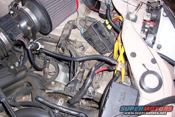 Engine bay wiring with battery terminals and fuse box