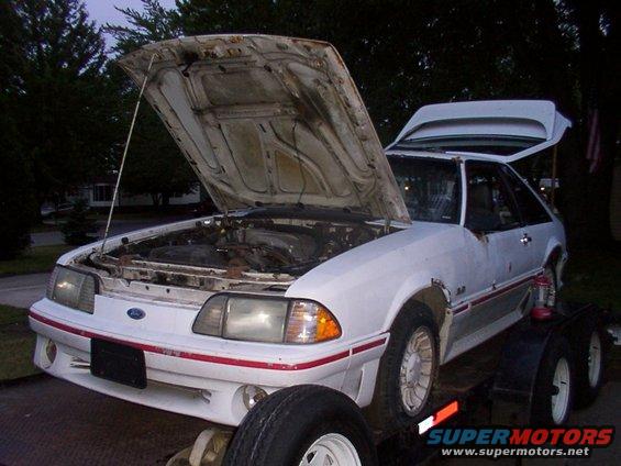 White Ford Mustang with hood and trunk open, on a trailer. Red stripe along the body