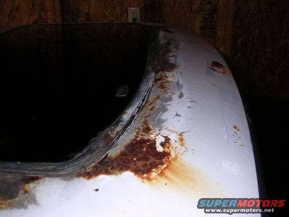 Rusted white car roof edge near black window