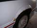 1988 Ford Mustang - Rust is visible around the wheel well of this white vehicle, which has a red stripe on its lower trim.