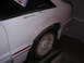 1988 Ford Mustang - Let the body work begin.