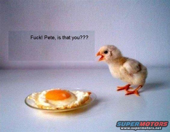 Chick looking at a fried egg with text bubble saying "Fuck! Pete, is that you???" and SUPERMOTORS logo