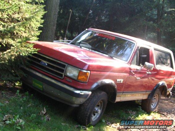 Red Ford Bronco parked on a grassy incline next to a tree