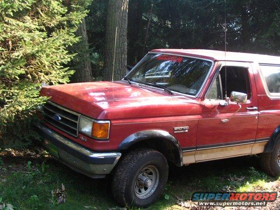 Red 1989 Ford Bronco with tan trim parked in woods