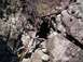 1989 Ford Bronco - A dark cave entrance is visible amidst rocks and dead vegetation, suggesting a remote, natural location.