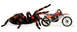 spiderbike.jpg