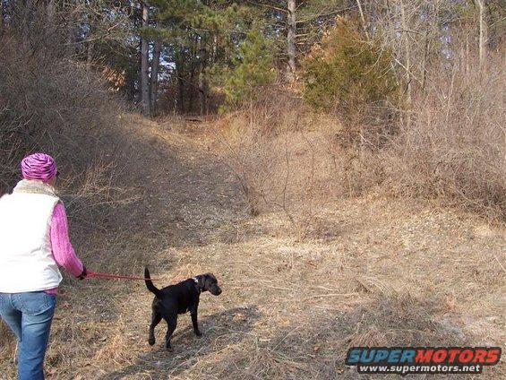 Woman in pink hat and white vest walks black dog on leash through dry brush and trees