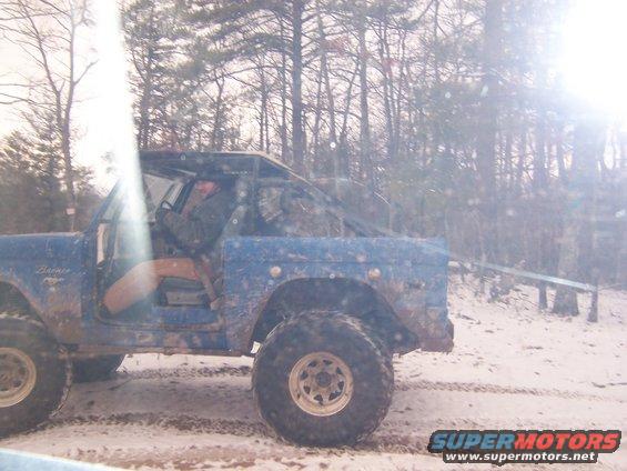 100_0352.jpg Hawk chillin!