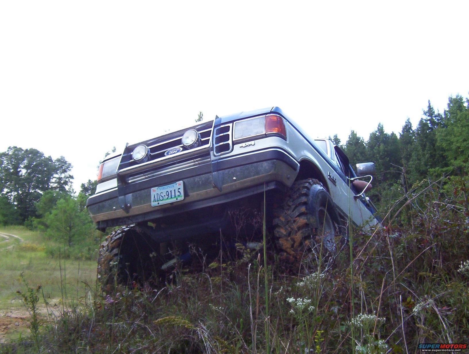 1989 Ford F-150 photo