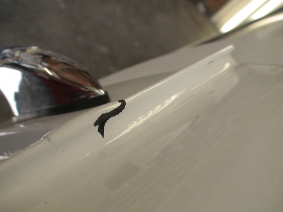 dsc00493.jpg encapsulated