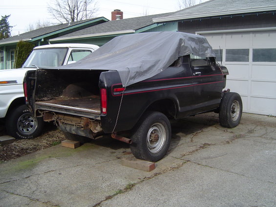 Black 1979 Ford Bronco rear view, tarped, with another white truck beside it