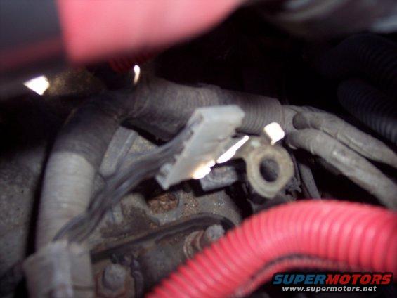Engine bay wiring harness and connector