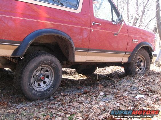 Red 1987 Ford Bronco side view, tan stripe, black fender flares, parked on dirt and leaves